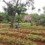 D'Kandang Amazing Farm, Fun Family Educational Tourism in Depok