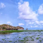 Drini Beach, White Sand Beach with Amazing Natural Beauty in Gunungkidul