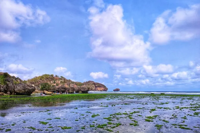 Drini Beach, White Sand Beach with Amazing Natural Beauty in Gunungkidul